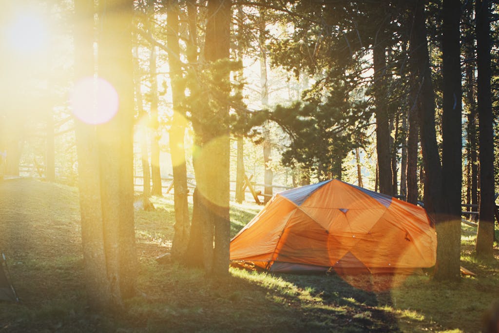 Photo of Tent in Forest